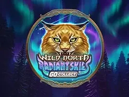 ท้องฟ้าอันเจิดจรัสแห่งดินแดนทางเหนืออันป่าเถื่อน GO Collect game thumbnail